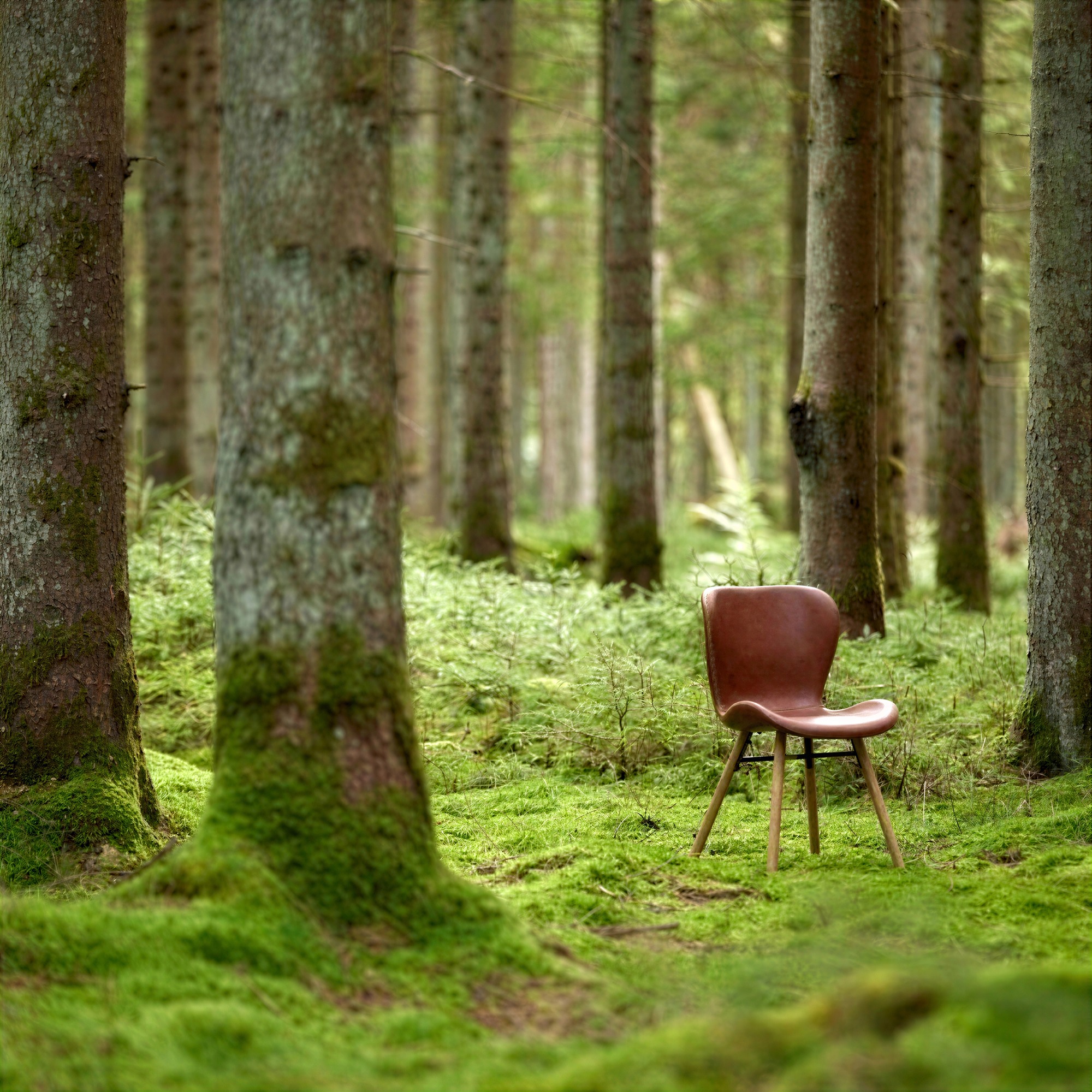 Stol 'Böda' - Naturlig/Brun