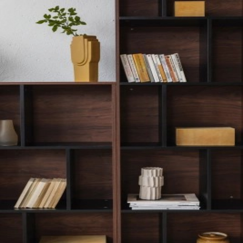 Stilige bokhyller: Hvordan du arrangerer og dekorerer