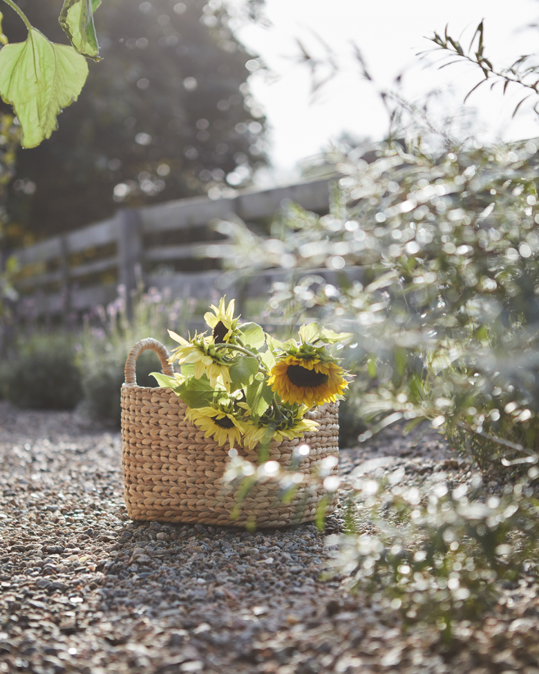 Basket 'Collect' sett med 2 - Natur/vannhyasint
