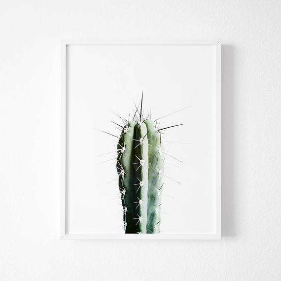 Plakat - 'Kaktus'