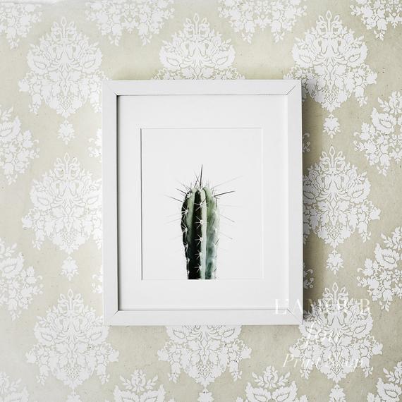 Plakat - 'Kaktus'