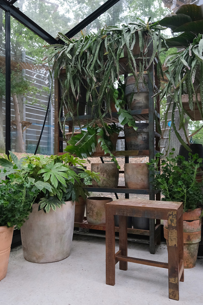 Krakk 'Umut' - Resirkulert tre