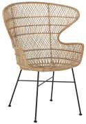 Lenestol \'Oudon\' - Rattan