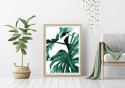 Plakat - Monstera